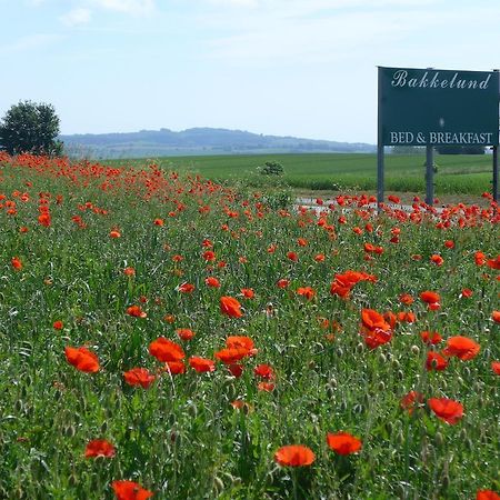 Bakkelund Bed & Breakfast Borre ภายนอก รูปภาพ