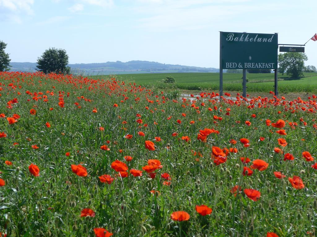 Bakkelund Bed & Breakfast Borre ภายนอก รูปภาพ